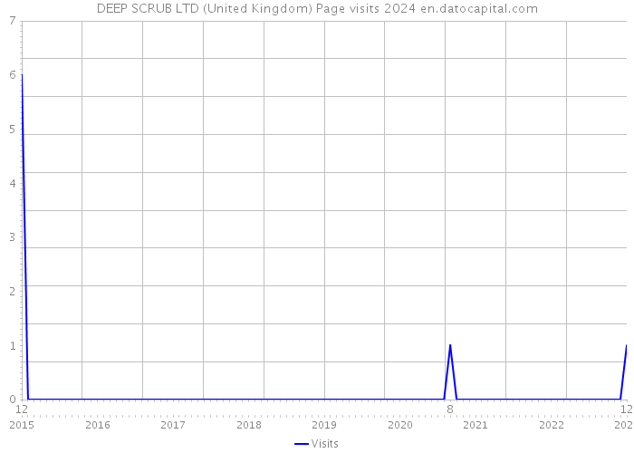 DEEP SCRUB LTD (United Kingdom) Page visits 2024 