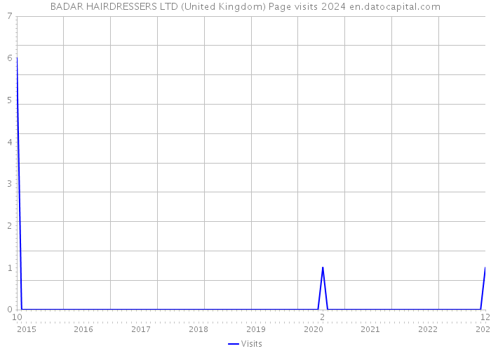 BADAR HAIRDRESSERS LTD (United Kingdom) Page visits 2024 
