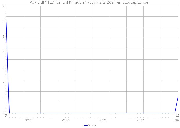 PUPIL LIMITED (United Kingdom) Page visits 2024 