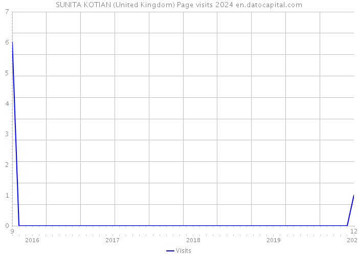 SUNITA KOTIAN (United Kingdom) Page visits 2024 