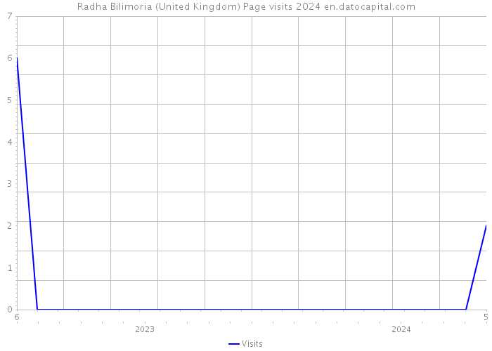 Radha Bilimoria (United Kingdom) Page visits 2024 