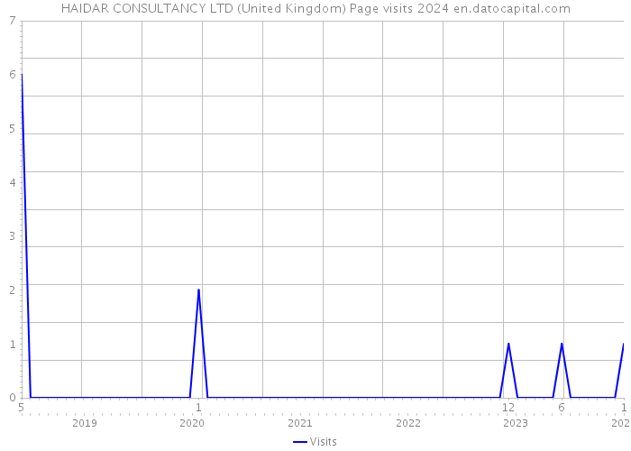 HAIDAR CONSULTANCY LTD (United Kingdom) Page visits 2024 