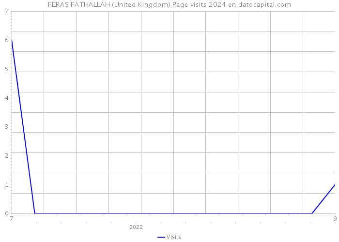 FERAS FATHALLAH (United Kingdom) Page visits 2024 