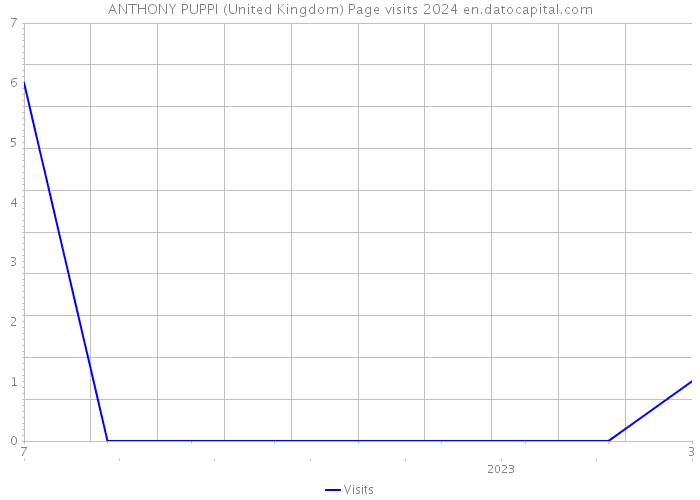 ANTHONY PUPPI (United Kingdom) Page visits 2024 