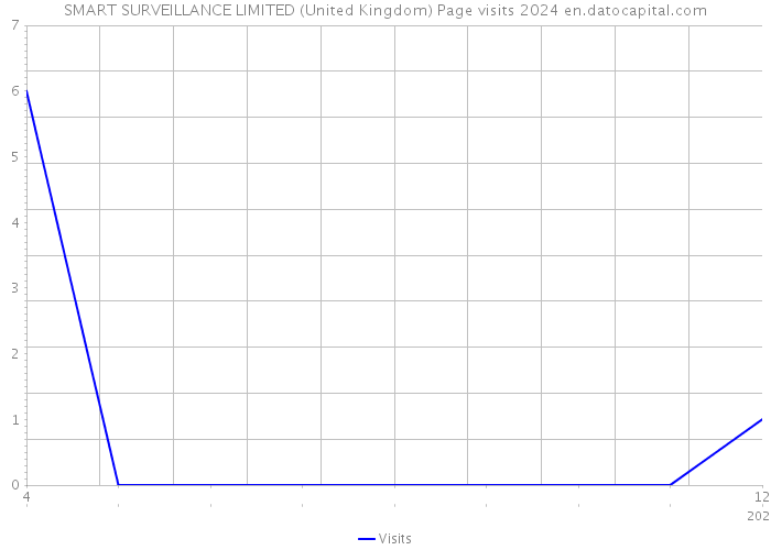 SMART SURVEILLANCE LIMITED (United Kingdom) Page visits 2024 