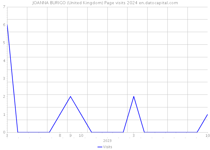 JOANNA BURIGO (United Kingdom) Page visits 2024 