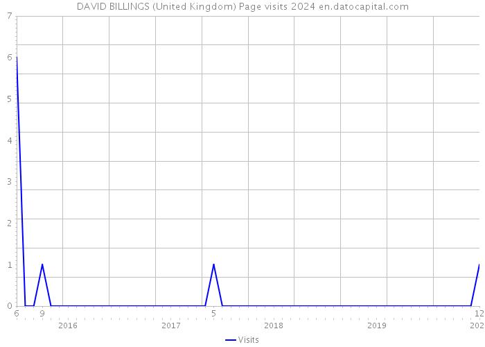DAVID BILLINGS (United Kingdom) Page visits 2024 