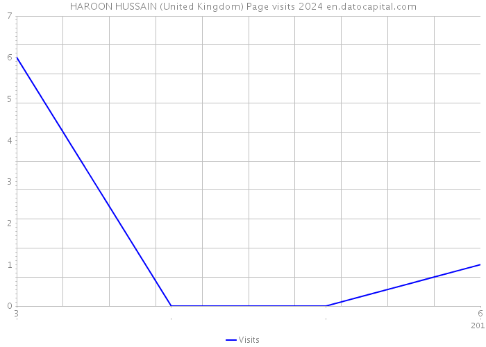 HAROON HUSSAIN (United Kingdom) Page visits 2024 