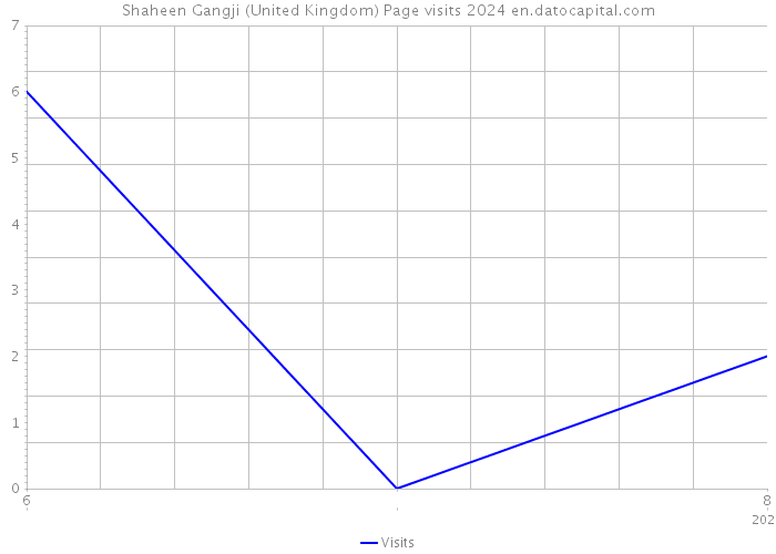 Shaheen Gangji (United Kingdom) Page visits 2024 