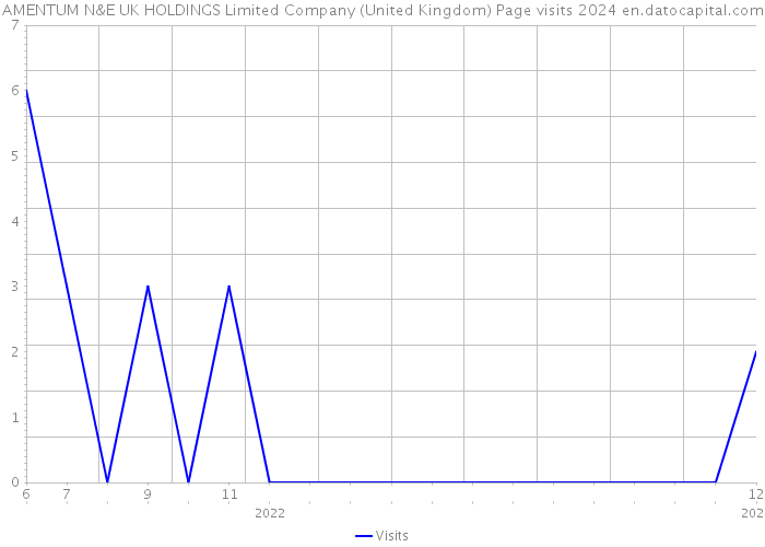 AMENTUM N&E UK HOLDINGS Limited Company (United Kingdom) Page visits 2024 