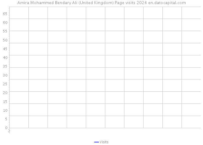Amira Mohammed Bendary Ali (United Kingdom) Page visits 2024 