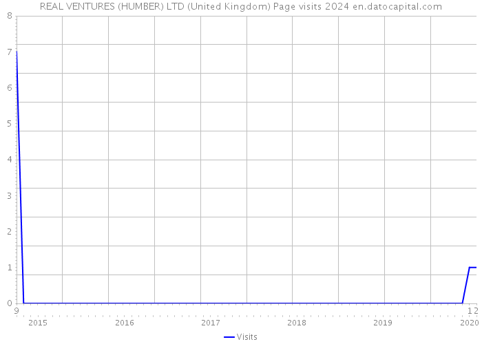 REAL VENTURES (HUMBER) LTD (United Kingdom) Page visits 2024 