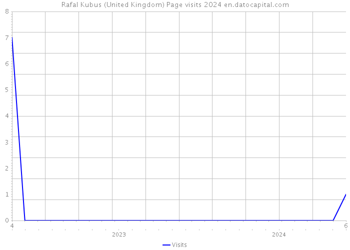 Rafal Kubus (United Kingdom) Page visits 2024 