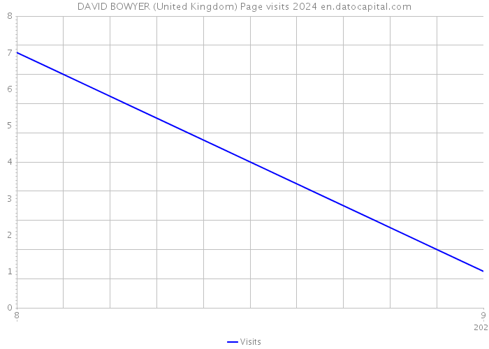 DAVID BOWYER (United Kingdom) Page visits 2024 