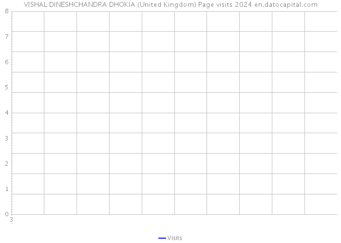 VISHAL DINESHCHANDRA DHOKIA (United Kingdom) Page visits 2024 