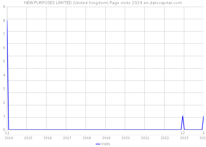 NEW PURPOSES LIMITED (United Kingdom) Page visits 2024 