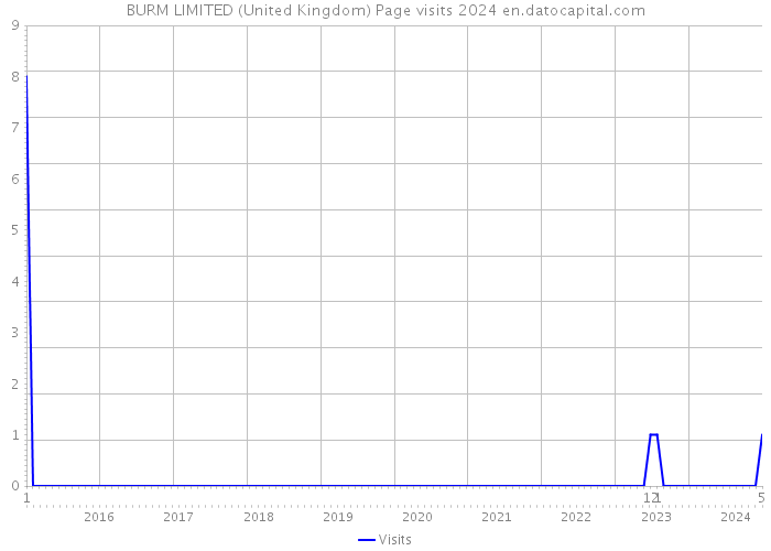 BURM LIMITED (United Kingdom) Page visits 2024 