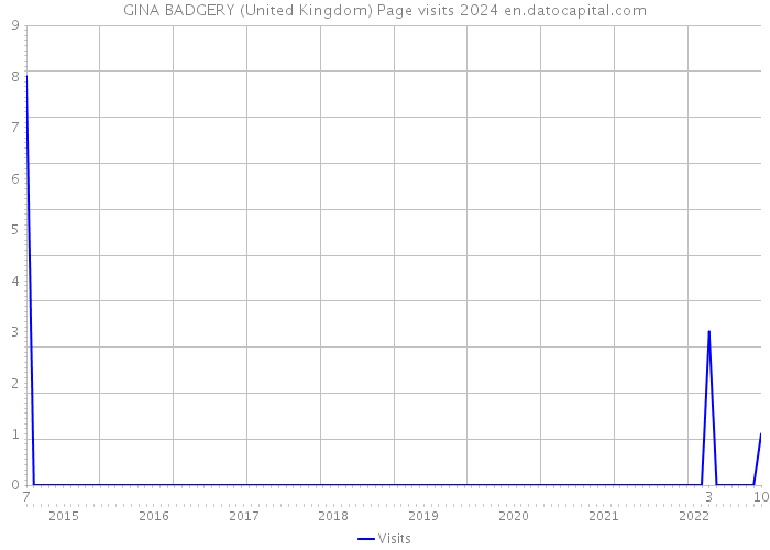 GINA BADGERY (United Kingdom) Page visits 2024 