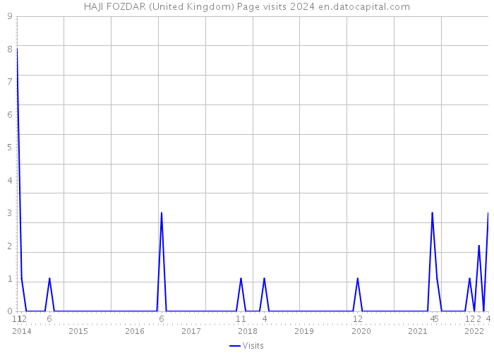 HAJI FOZDAR (United Kingdom) Page visits 2024 