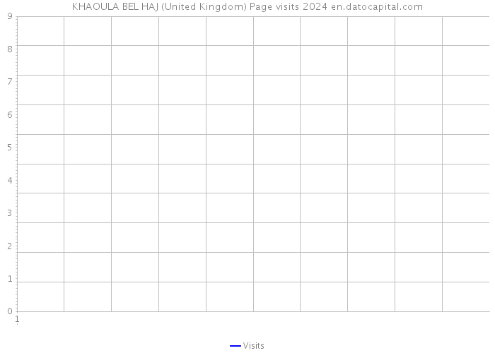 KHAOULA BEL HAJ (United Kingdom) Page visits 2024 