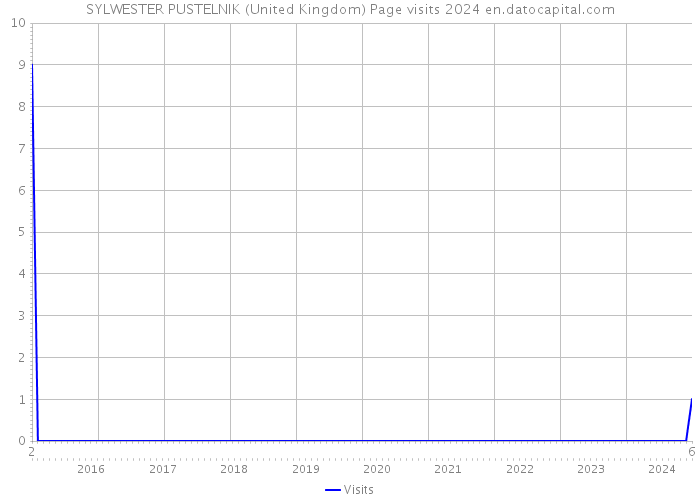 SYLWESTER PUSTELNIK (United Kingdom) Page visits 2024 